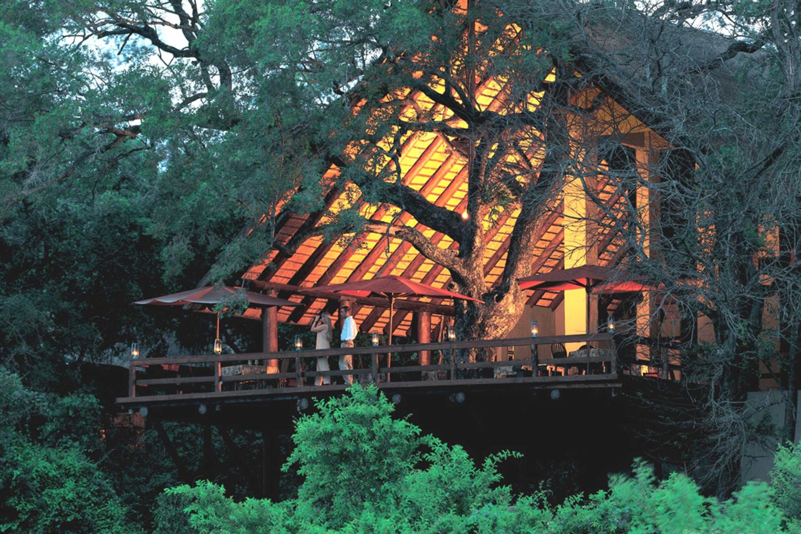 A tree-house suite at Londolozi in the Sabi Sand